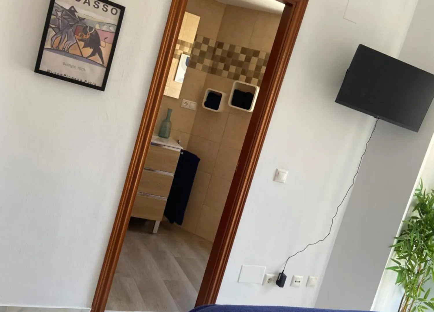 La Belle De Malaga Apartment